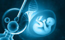 IVF success rate