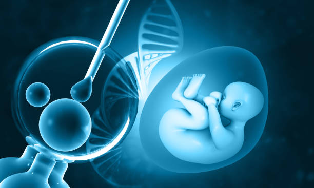 IVF success rate