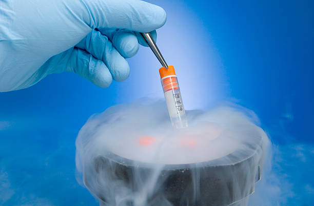 Egg Freezing Process