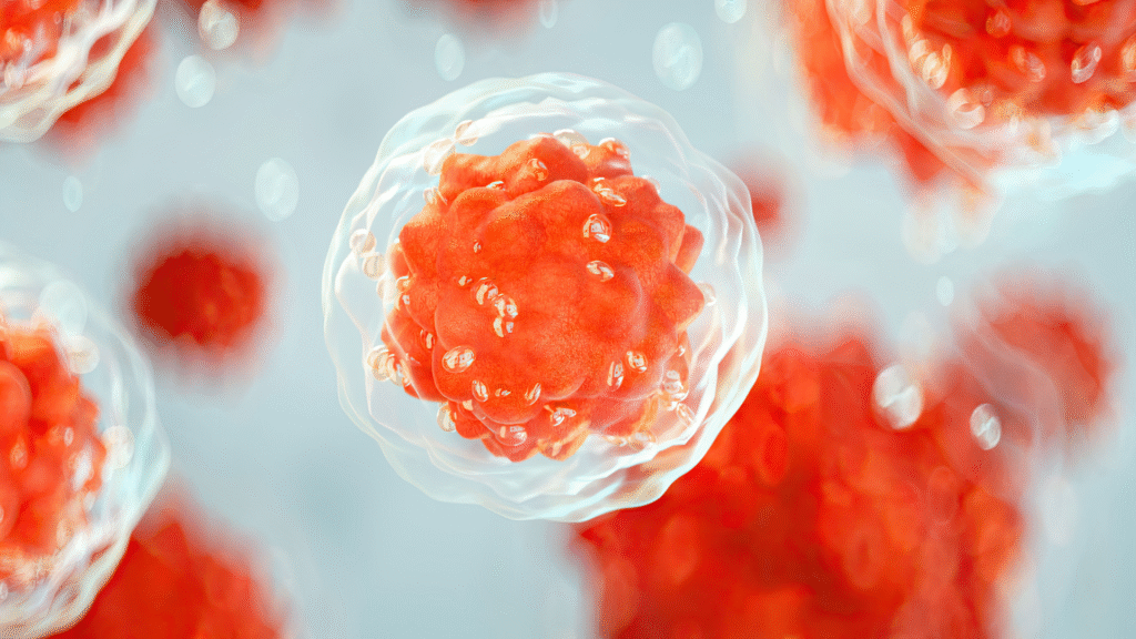 how to improve egg quality