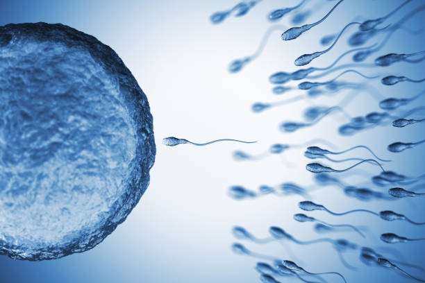 best medicine for sperm motility